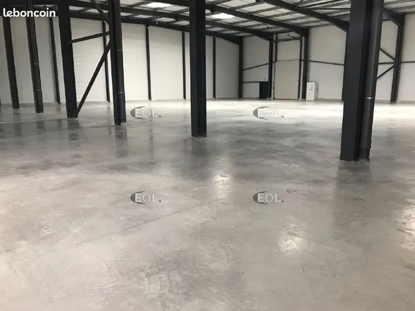 Local d'activité 1 557 m²