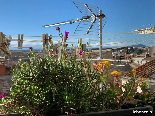 Duplex atelier d'artiste, pierres & poutres — vue toits, Écusson Montpellier