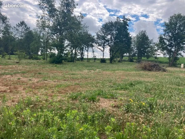 Terrain 1 600 m² Castets Et Castillon