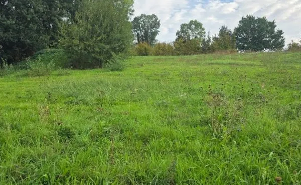 Terrain 543 m²