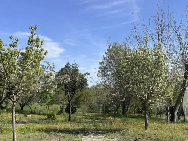 Terrain 1230 m²