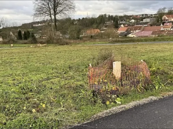 Terrain 495 m²