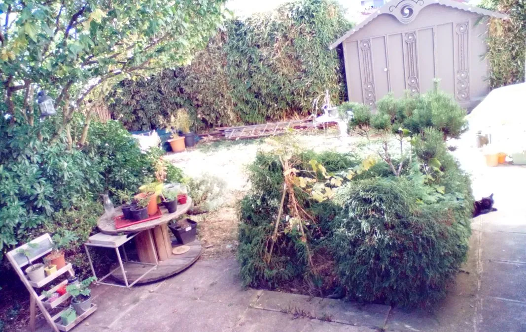 Photo 2