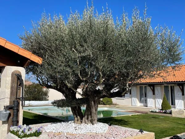 Propriété plain-pied 130 m² + maison indépendante 62 m², piscine