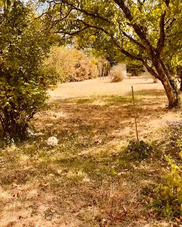 Terrain à construire