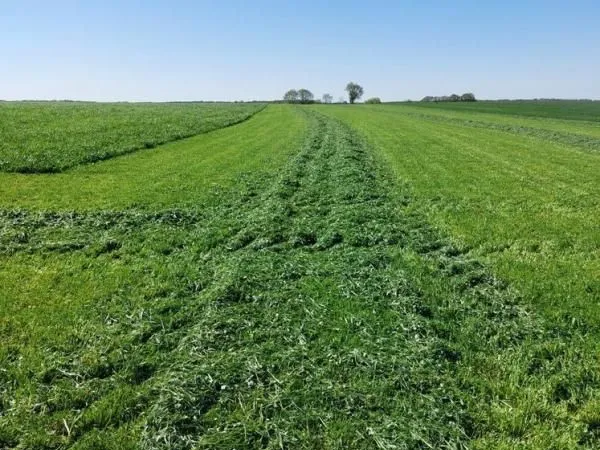 Terrain 900 m² La Vieux Rue