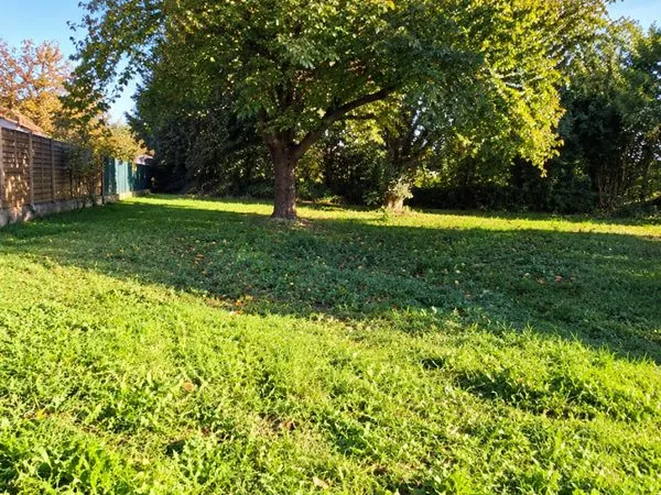 À VENDRE - Terrain constructible arboré à Hagenthal-le-Haut (68) 10,74 ares (1 074 m²) - 170 000
