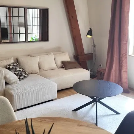 Appartement T2 rénové meublé 47m2