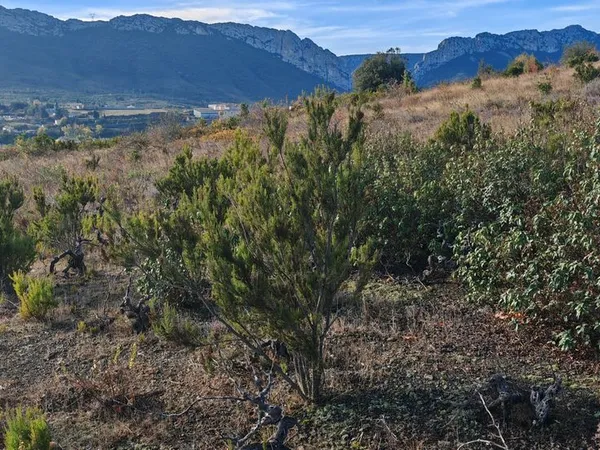 Terrain 5805 m² saint paul de fenouillet