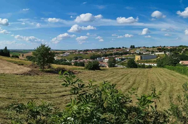 Terrain Constructible