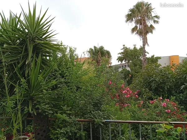 Villa/2 appartements, 200m2 avec jardin