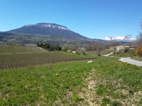 Terrain 1471 m²