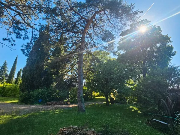 Terrain plat à bâtir arboré