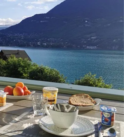 Superbe T2 face au lac