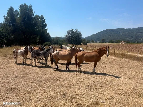 Maison de campagne sur un beau terrain