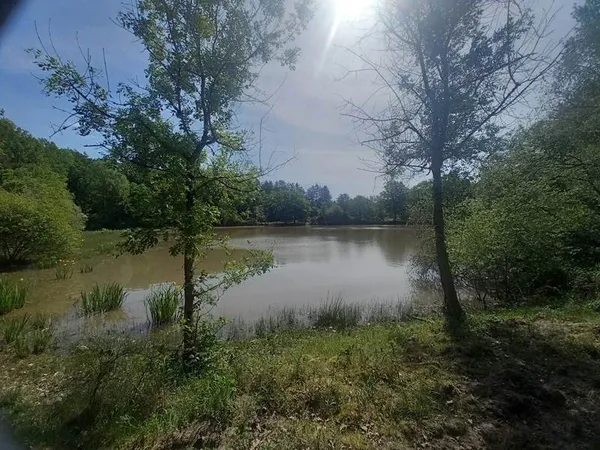 Terrain 10000 m²