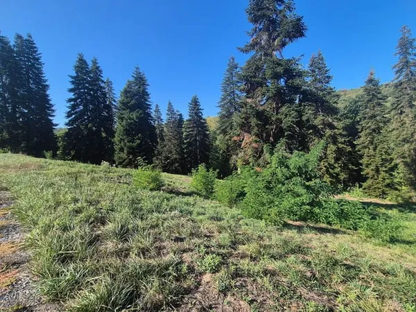 Terrain 1103 m²