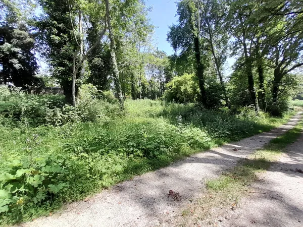 Terrain 1182 m²