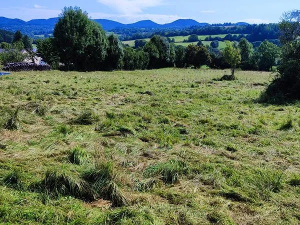 Terrain constructible viabilisé à Saint-Bonnet-près-Orcival - Vue sur la chaîne des Puys