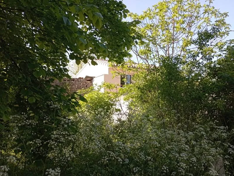 Photo 5