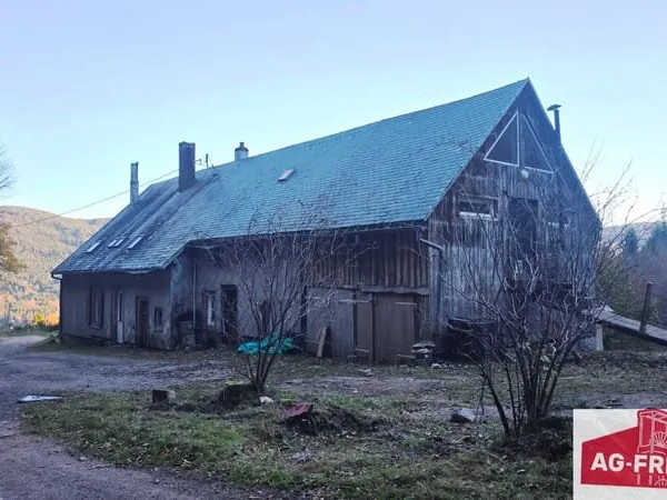 A vendre maison 223 m2 sur 41,94 ares de terrain au Bonhomme