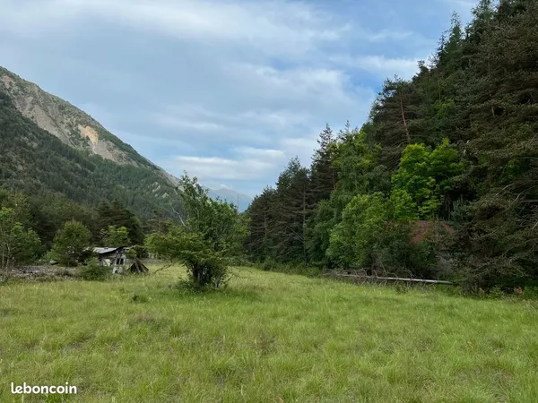 À Vendre terrain de 8 100 m2 avec Bergerie de 80 m2 à Rénover