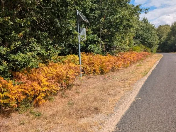 Vente terrain non constructible