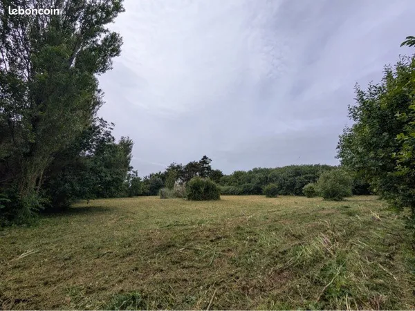 Terrain agricole