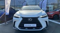 Lexus Nx 450h+ Executive 4WD — photo 2
