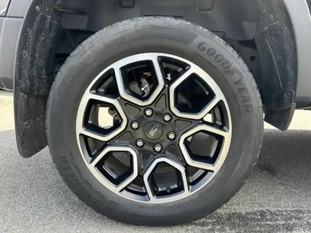 Ford Ranger 2.0 ecoblue 205ch stop&amp;start double cabine wildtrak e-4wd bva10 — photo 6