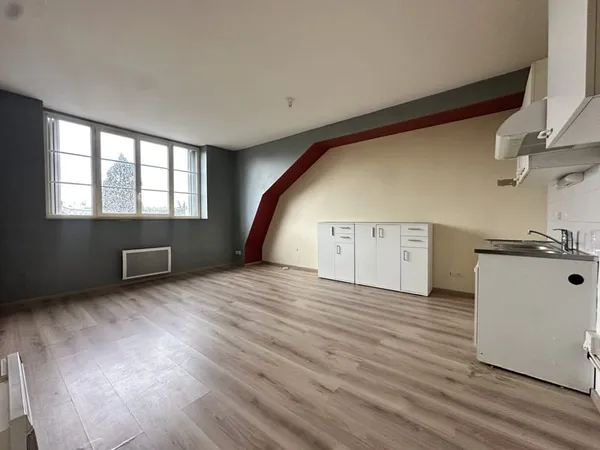 Appartement duplex proche Gare et Faubourg Bannier - Orléans