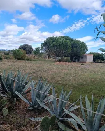 Location terrain agricole