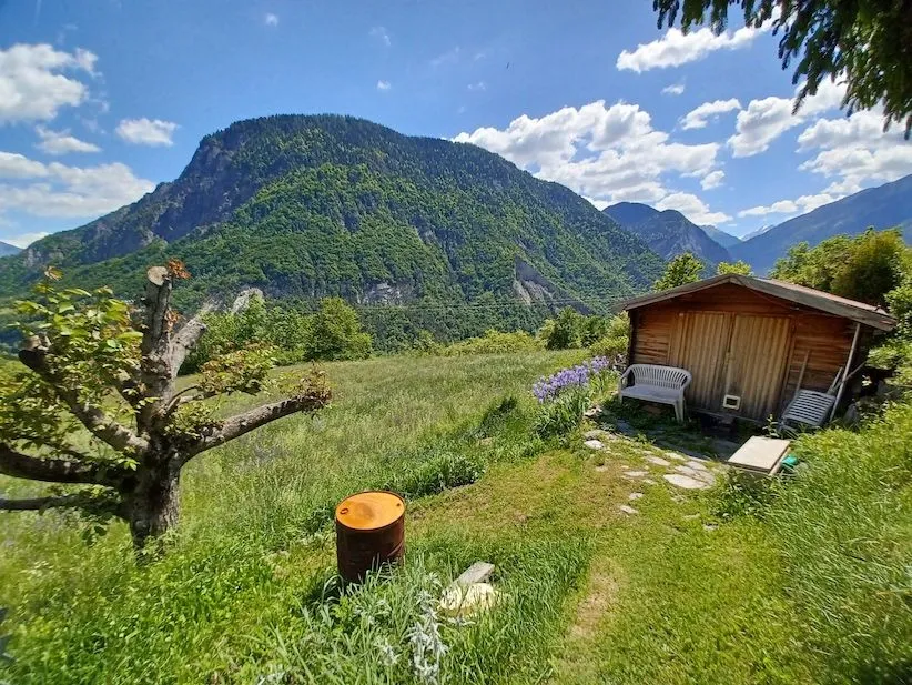 Photo 10