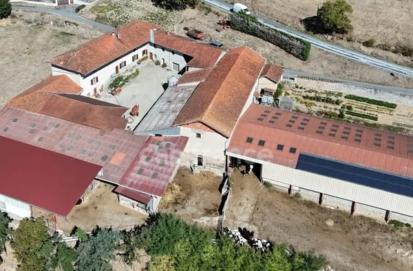 Corps de ferme à vendre 8 pièces 202 m² 6 ha COTTANCE (42)