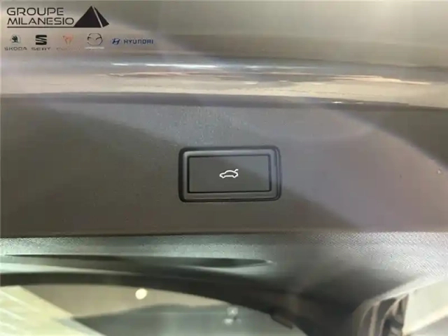 Cupra Tavascan 340 ch 4drive — photo 20
