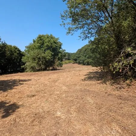 Location terrain