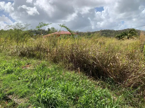 Terrain de 965 m2 au quartier Sans Pareil