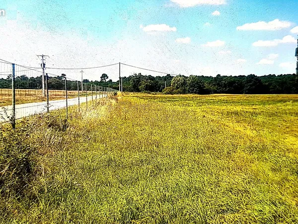 Prairie de qualité 13 HA à louer au Nord de la Gironde (33)