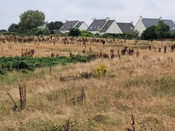 Terrain 398 m²