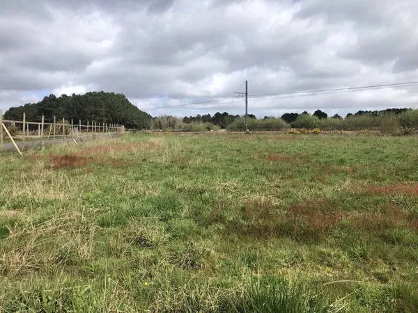 TERRAIN AGRICOLE 1,1 HECTARE AVEC BATIMENT /commune de Queyrac