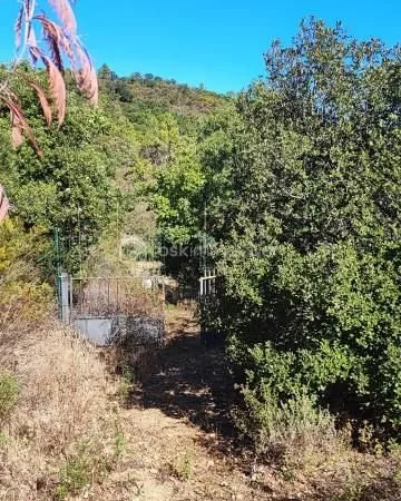 Terrain 4 296 m² Roquebrune Sur Argens