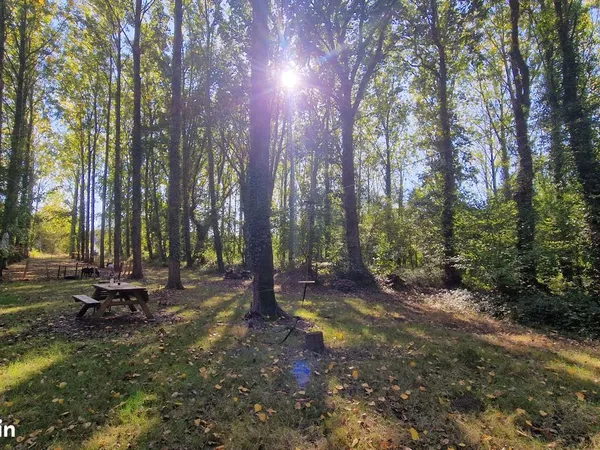 Vente terrain 11000 m² bois foret