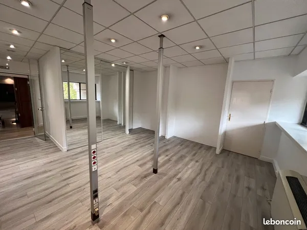 Local professionnel