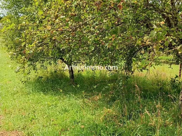 Terrain de loisirs 10 minutes de SAINT VIT