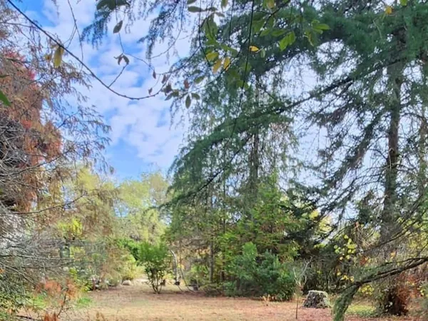 Terrain 1230 m²