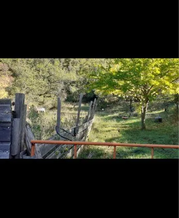 Terrain agricole avec abris de jardin et source d eau