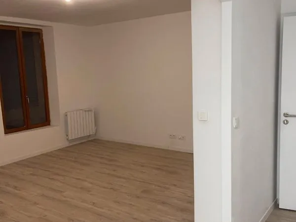 Appartement grand T3 centre ville