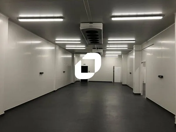 Local d'activité 527 m²