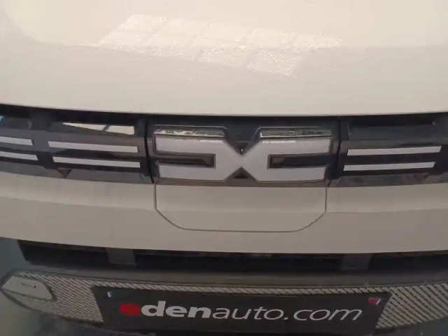 Dacia Spring electric 100 — photo 61