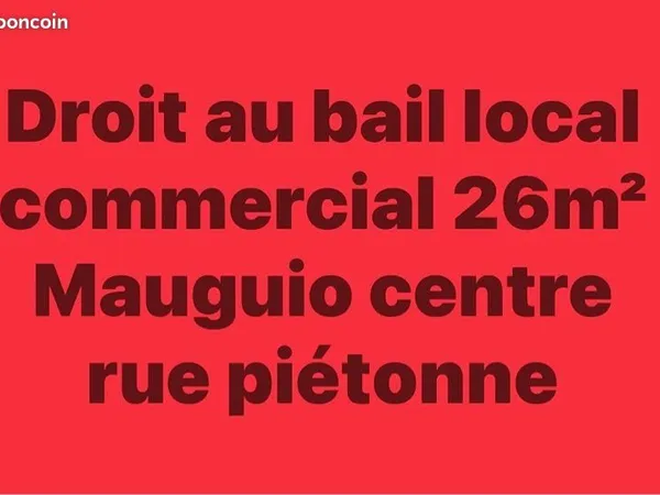 Droit au Bail local commercial 26m2 Mauguio Centre Rue piétonne